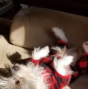 Meet your Posher, Melody